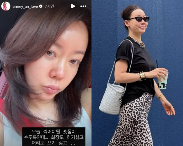 안선영