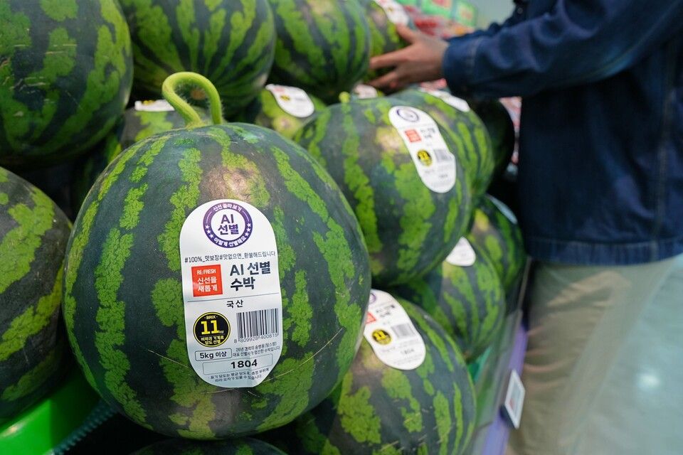 메타 AI, 어디까지 왔니? 요즘 핫한 이유!